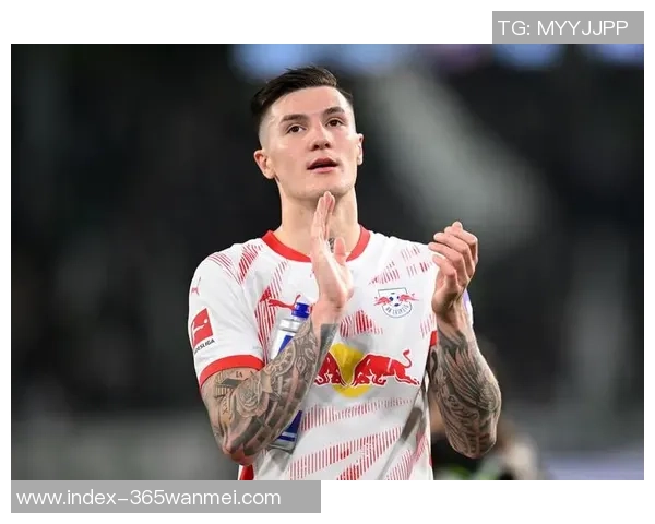 纽卡素足球的辉煌历程与未来展望：从传统强队到现代足球的崛起