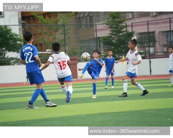 足球世界VIP带你领略全球足球盛宴尽享赛事精彩与独家资讯