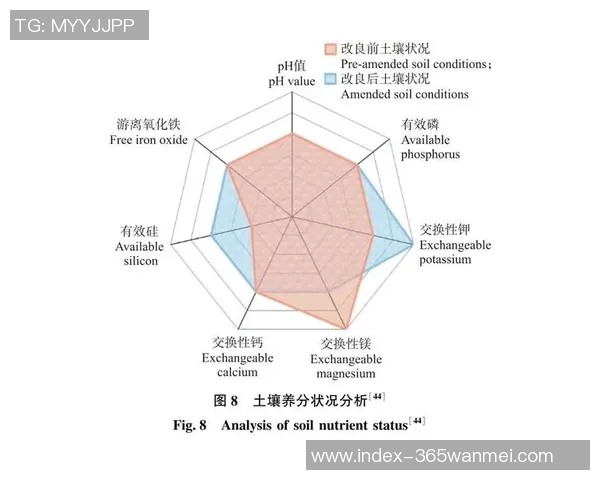 赵世刚足球生涯回顾与未来发展展望分析